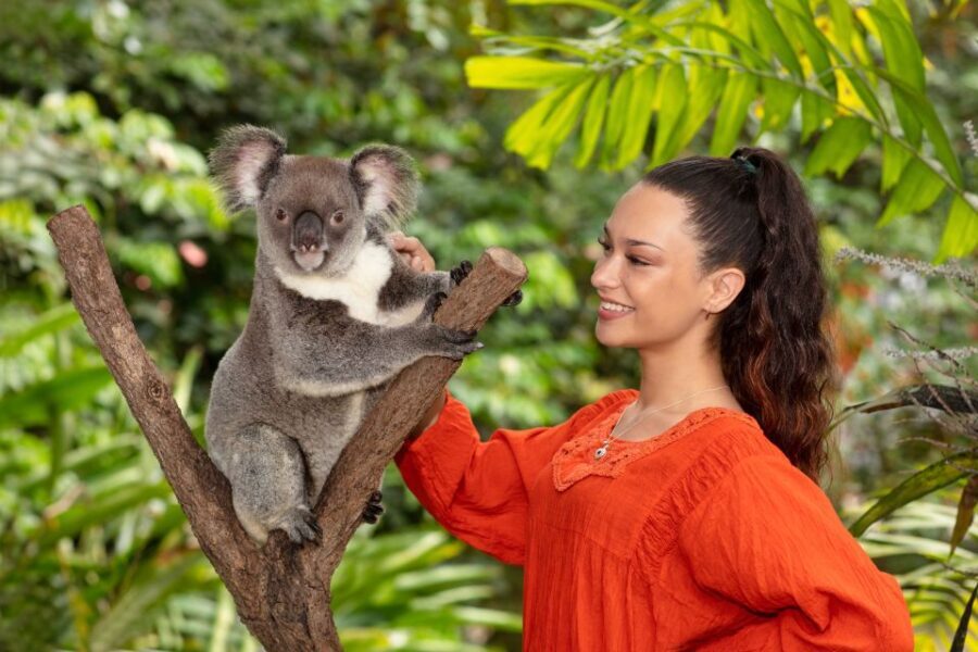 Kuranda Koala Gardens Park Entry - The Sum Up
