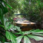 Kuranda Rainforestation & Kuranda Scenic Rail (R1BT) - How the Experience Comes Together