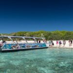 Lady Musgrave Day Trip from Bundaberg Including Snorkeling - What Could Be Improved?