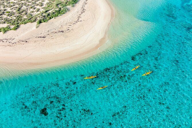 Lagoon Explorer - Ningaloo Reef Full-Day Kayaking and Snorkeling Adventure - Who Will Love This Tour?