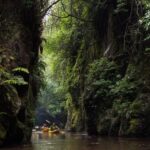 Lake Karapiro: Evening Kayak Glowworm Tour - An Overview of the Lake Karapiro Glowworm Kayak Tour