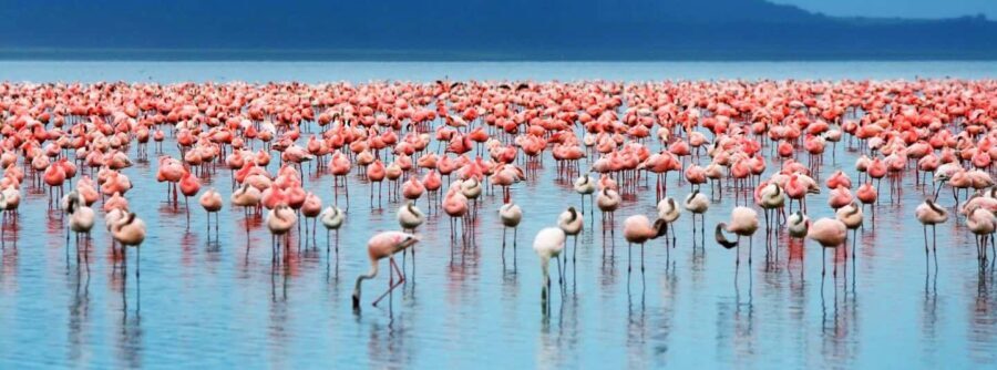 Lake Manyara National Park Day Trip - The Journey Begins: From Arusha to Lake Manyara