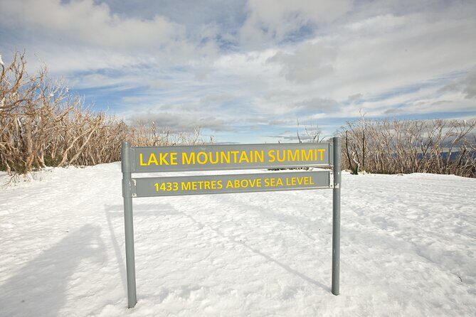 Lake Mountain Snow play and Steavenson Falls from Melburne - Who Would Love This Tour?