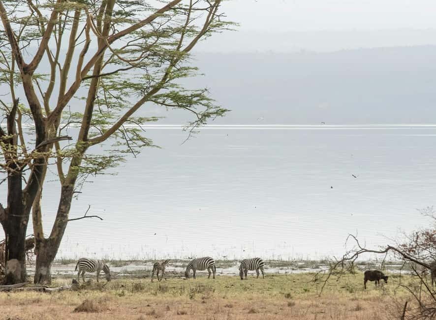Lake Nakuru National Park: Daytrip in a 4X4 Private Jeep - What We Loved About This Tour