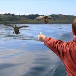 Lake Taupo: 1.5-Hour Mori Rock Carvings Cruise - The Sum Up