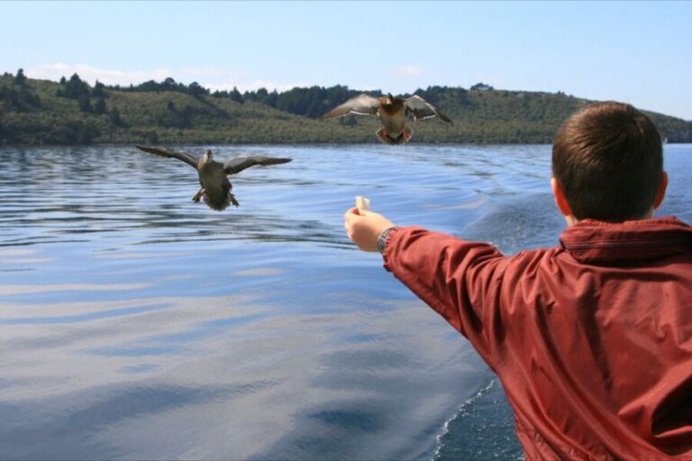 Lake Taupo: 1.5-Hour Mori Rock Carvings Cruise - The Sum Up