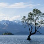 Lake Tekapo Private Day Trip from Queenstown - Final Thoughts