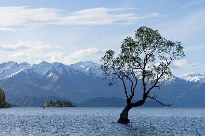 Lake Tekapo Private Day Trip from Queenstown - Final Thoughts