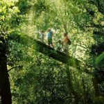 Lamington National Park, O'Reilly's & Vineyard Tour - Why This Tour Offers Great Value