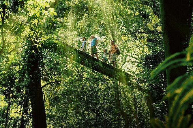 Lamington National Park, O'Reilly's & Vineyard Tour - Why This Tour Offers Great Value