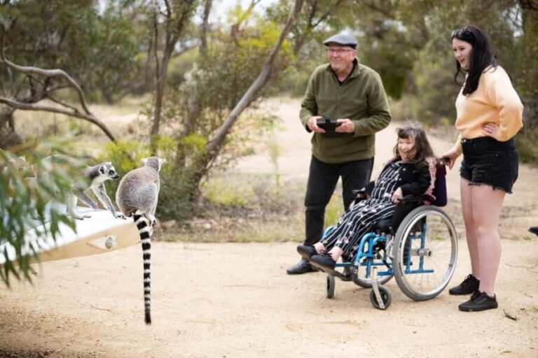Land of the Lemurs Experience & a Day at Monarto Safari Park - What You Should Know Before Booking