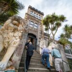 Larnach Castle & Otago Wildlife Cruise from Dunedin - Scenic Wildlife Cruise: Up Close with Otago’s Marine Life