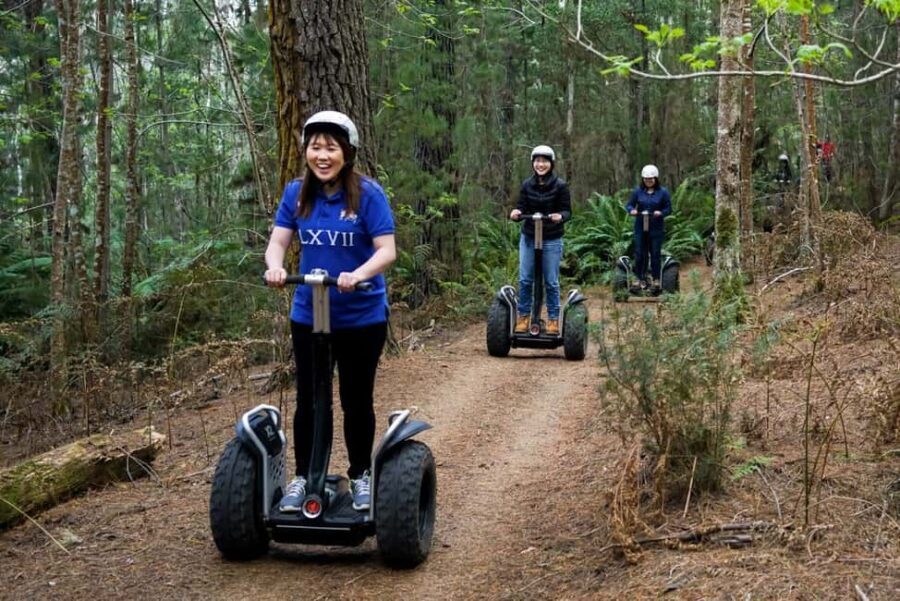 Launceston: Hollybank Forest Guided Segway Tour with Photos - Value for Money: Is It Worth It?