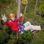 Launceston: Hollybank Forest Treetop Zip Lining with Guide - The Practical Details: Price, Duration, and Tips