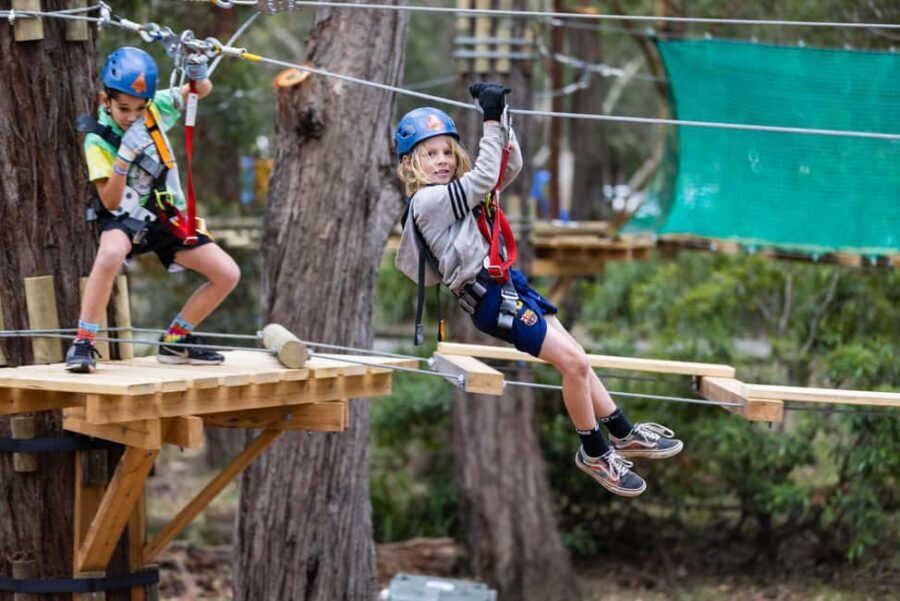 Launceston: Hollybank Junior Tree Ropes Course - Benefits of Choosing Hollybank Junior Tree Ropes Course