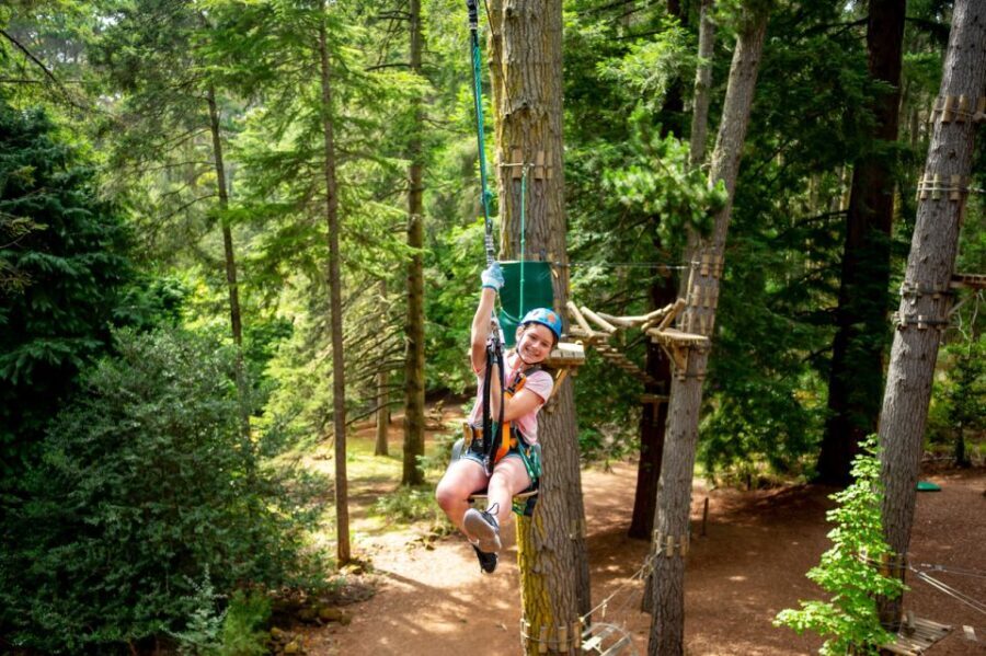 Launceston: Hollybank Tree Ropes Course - Exploring the Hollybank Ropes Course