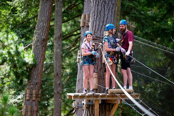 Launceston Hollybank Tree Ropes Experience - Who Will Love This Experience?