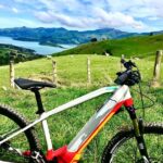 Lava Loop- Guided electric mountain bike tour in Akaroa - Who Will Love This Tour?