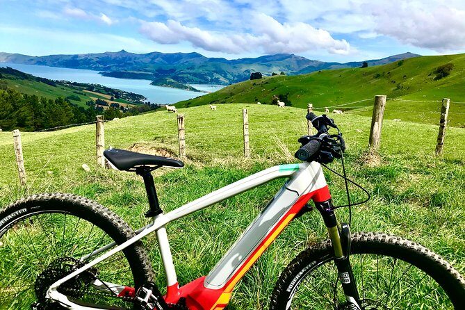 Lava Loop- Guided electric mountain bike tour in Akaroa - Who Will Love This Tour?