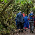Lemosho Route 10 Days/ 9 Nights 8 Days on the Mountain. - The Practical Side: What’s Included and What’s Not