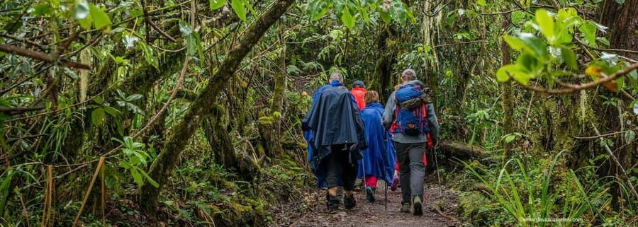 Lemosho Route 10 Days/ 9 Nights 8 Days on the Mountain. - The Practical Side: What’s Included and What’s Not