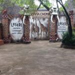 Lesedi Cultural Village: a cultural tour - What Makes It Valuable?