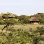 Lewa Wildlife Conservancy: 3-Day Private Safari Adventure - What to Expect: A Day-by-Day Breakdown