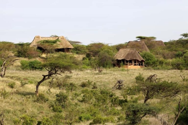 Lewa Wildlife Conservancy: 3-Day Private Safari Adventure - What to Expect: A Day-by-Day Breakdown