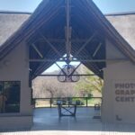 Lion park - The Realities: Pros and Cons