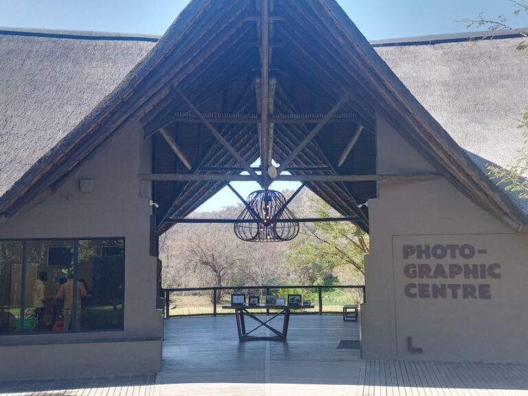 Lion park - The Realities: Pros and Cons