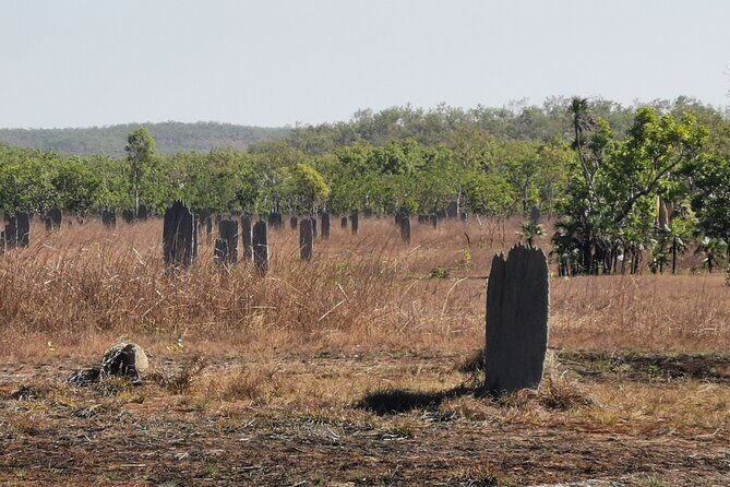 Litchfield National Park Day Tour & Berry Springs, Max 11 Guests - Final Thoughts: Who Is This Tour For?