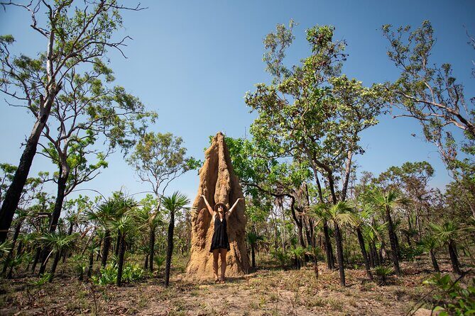 Litchfield National Park Tour with Wetlands or Crocodile Cruise - Overall Value and Practicalities