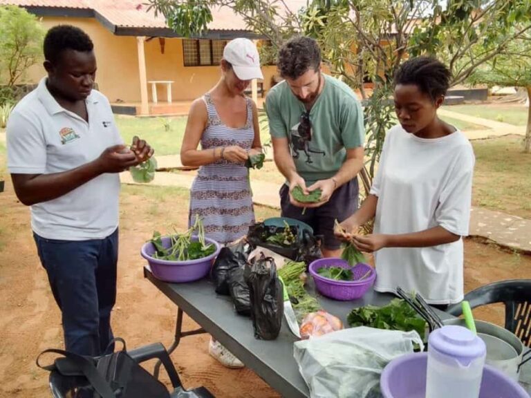 Livingstone: African Foods Cooking Tour with Lunch - Shopping at Local Markets