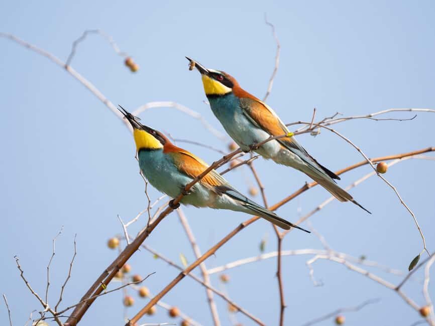 Livingstone: Lochinvar National Park Birdwatching Adventure - Day 1: Exploring Zambia’s Colonial Roots and Cultural Heritage