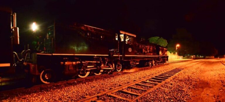 Livingstone: Royal Livingstone Express Train and Dinner - Practical Details: What to Expect