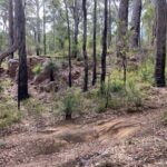 Local Gems 3 Hour MTB Small Group Tour - FAQ