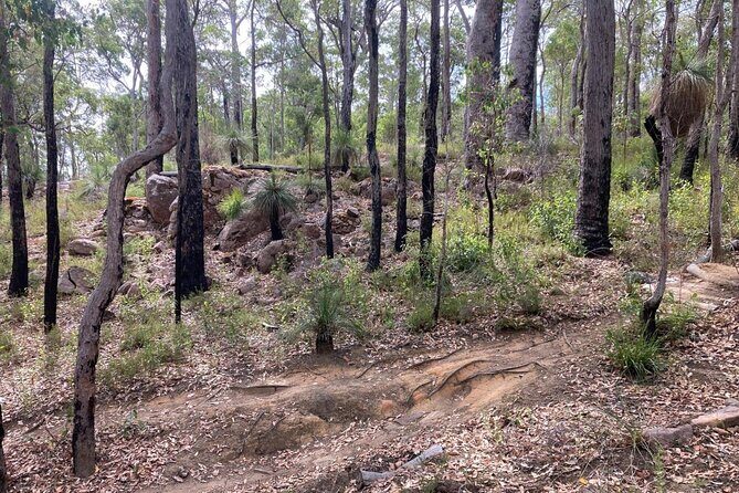 Local Gems 3 Hour MTB Small Group Tour - FAQ
