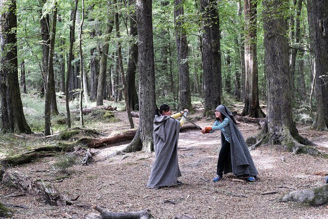 Lord of the Rings Scenic Tour - Glenorchy (half day) - Why This Tour Works (And Why It Might Not)
