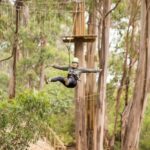 Lorne: Live Wire Park Super Circuit Ticket - Detailed Breakdown of the Experience