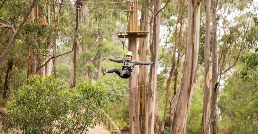 Lorne: Live Wire Park Super Circuit Ticket - Detailed Breakdown of the Experience