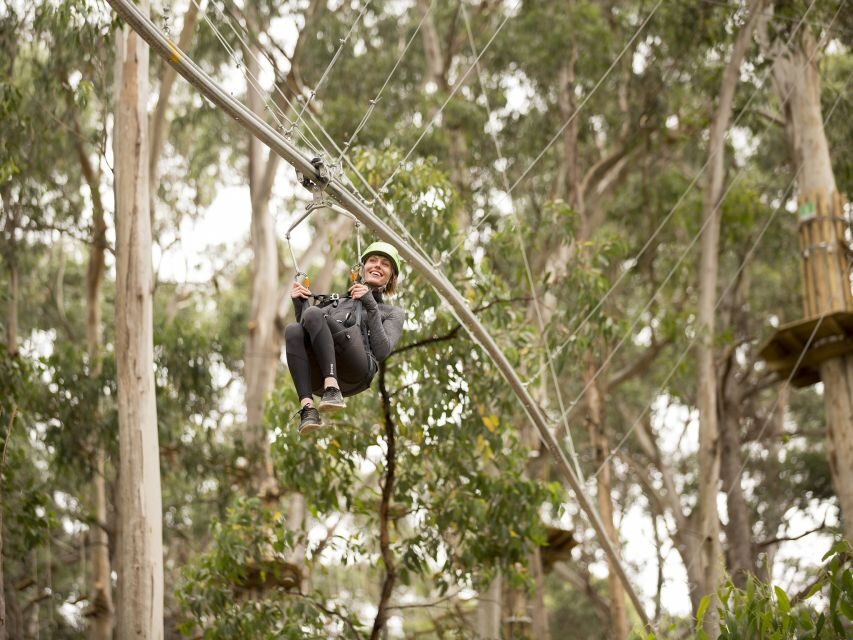 Lorne: Live Wire Park Ticket with Zip Line Rollercoaster - Practical Details and Tips for Visitors