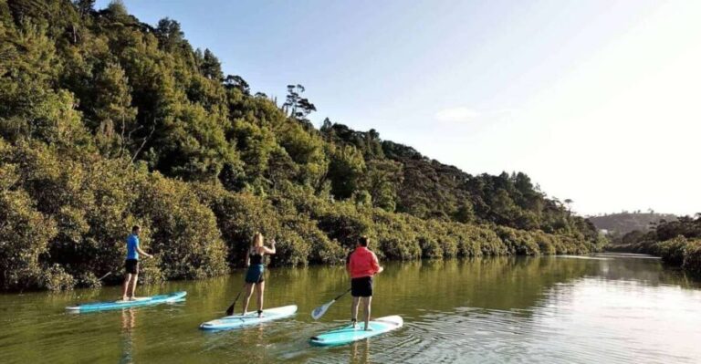 Lucas Creek Waterfall SuP Tour - Who Will Love This Tour?