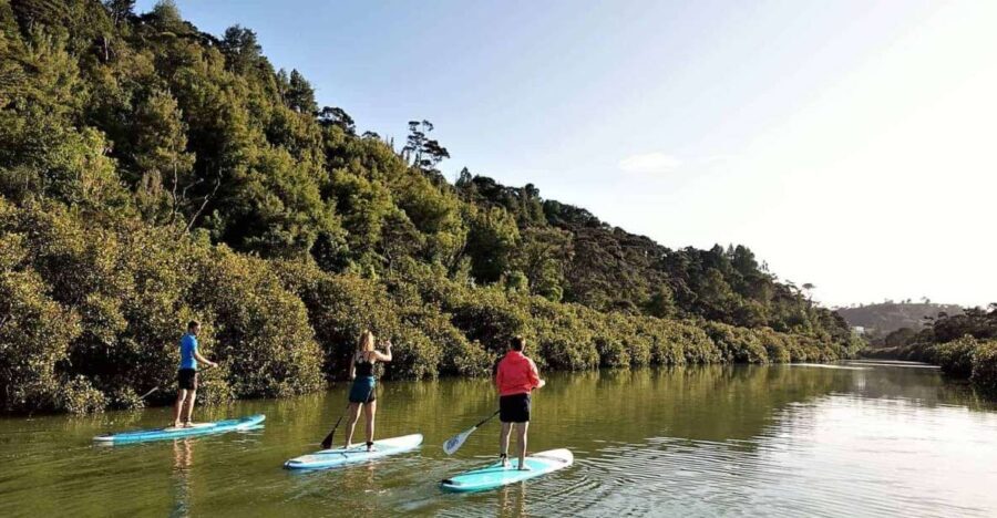 Lucas Creek Waterfall SuP Tour - Who Will Love This Tour?