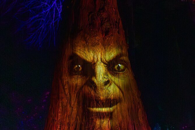LUMA Enchanted Whimsical Sensory night walk - What Reviewers Say (Based on Available Feedback)