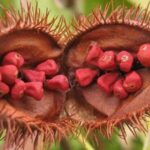 Lunch Break, Zanzibar Coffee House, Tea House, Secret Garden - A Detailed Look at the Tour Experience