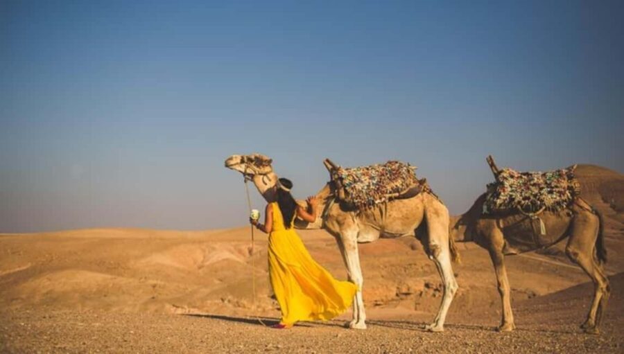 Lunch & Swimming Camel Ride and Quad Biking in Agayaf - Why This Tour Truly Stands Out