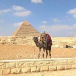 Luxor: 8-Day Egypt Package with Flights and Hot Air-Balloon - Practical Insights and Considerations