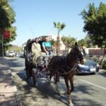 Luxor City Tour by Horse Carriage Visit Local - Key Points