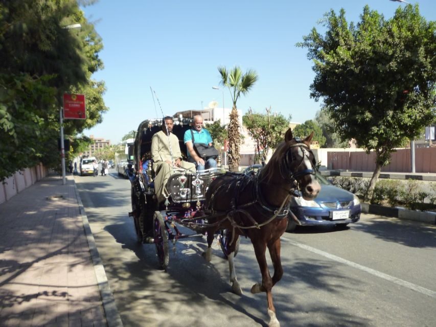 Luxor City Tour by Horse Carriage Visit Local - Key Points