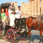 Luxor : Luxor City Tour By Horse Carriage Private Tour - What Makes This Tour Special